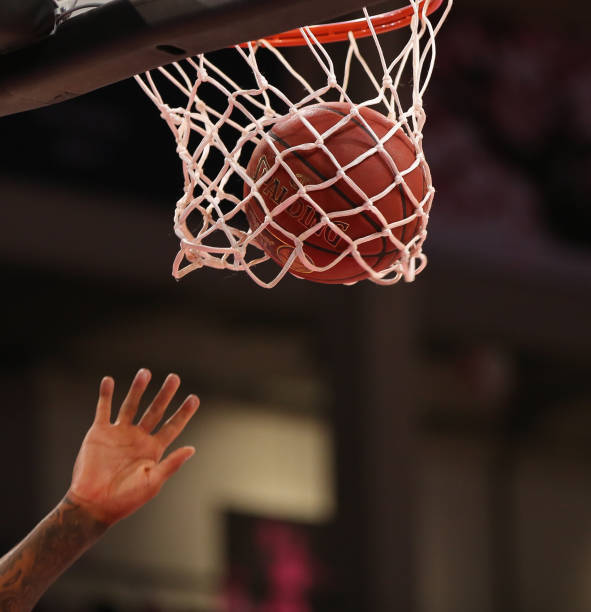 获得重要奖 获得重要奖